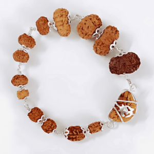 1 to 14 Mukhi Natural Rudraksha Bracelet With Silver Cap With ISO Lab Certificate